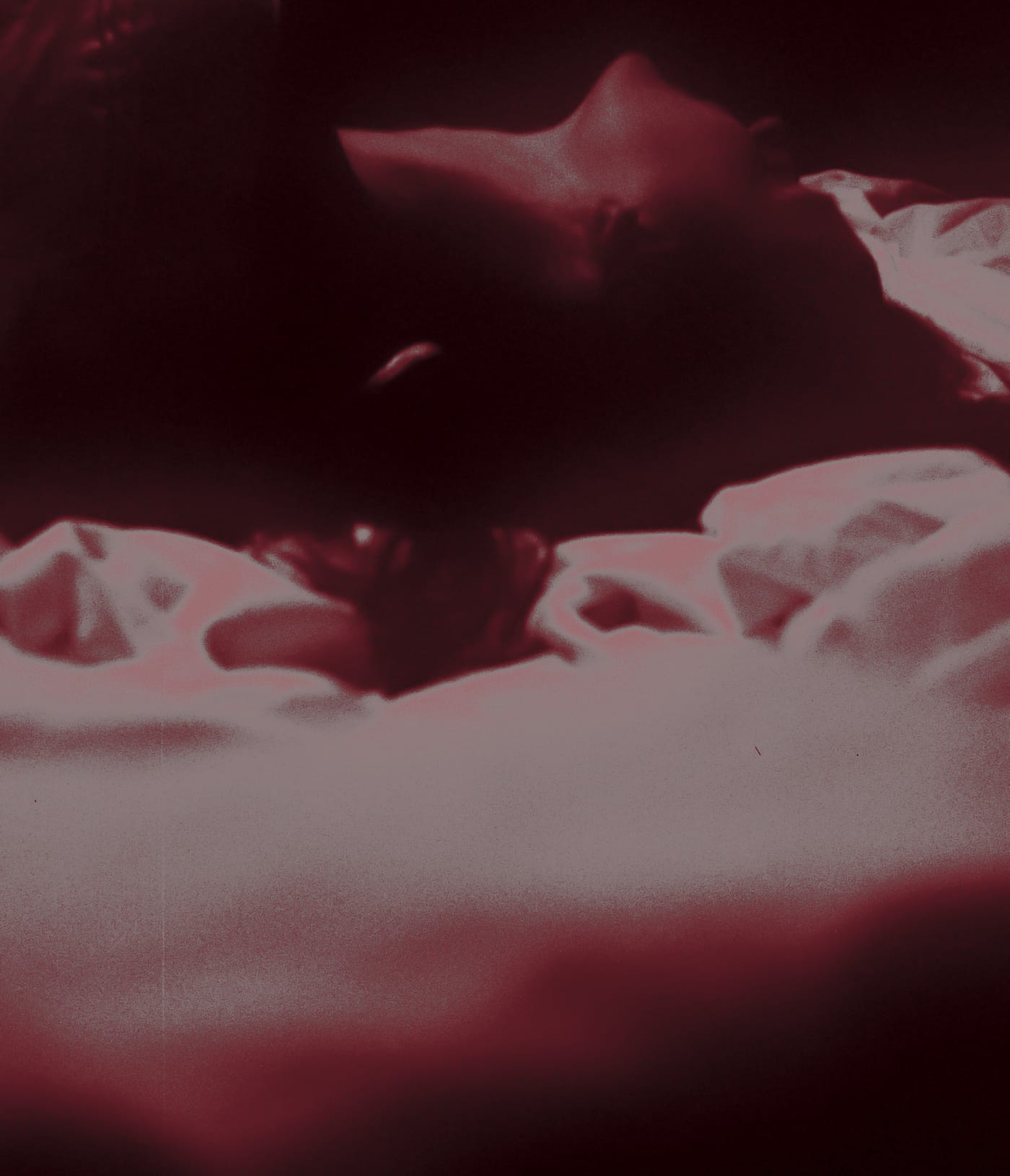 MUSCANTARA — photograph