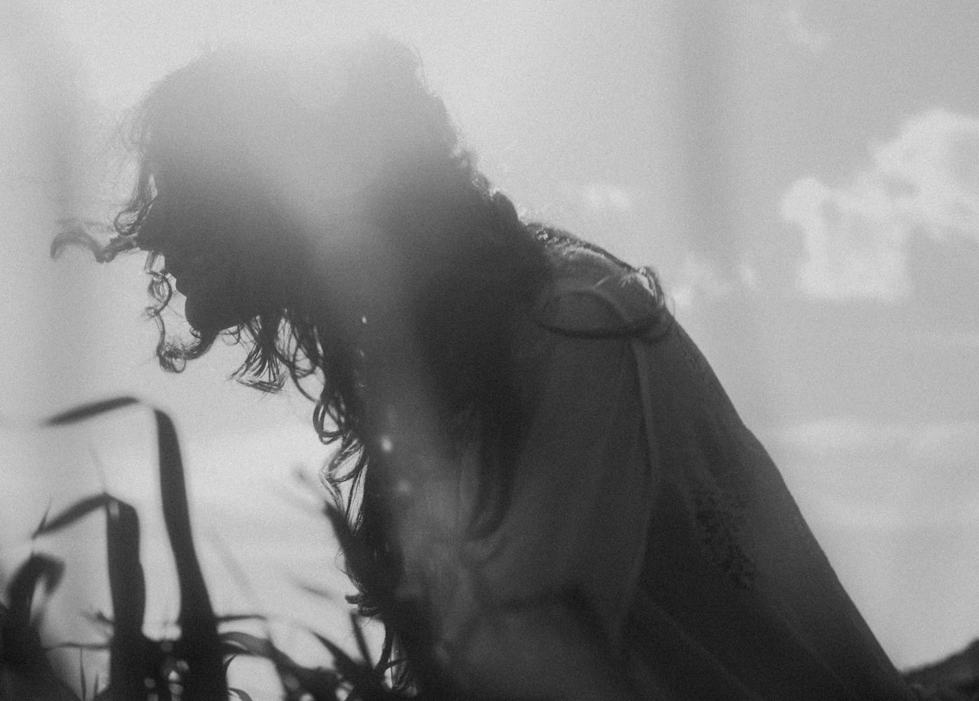 MUSCANTARA — photograph