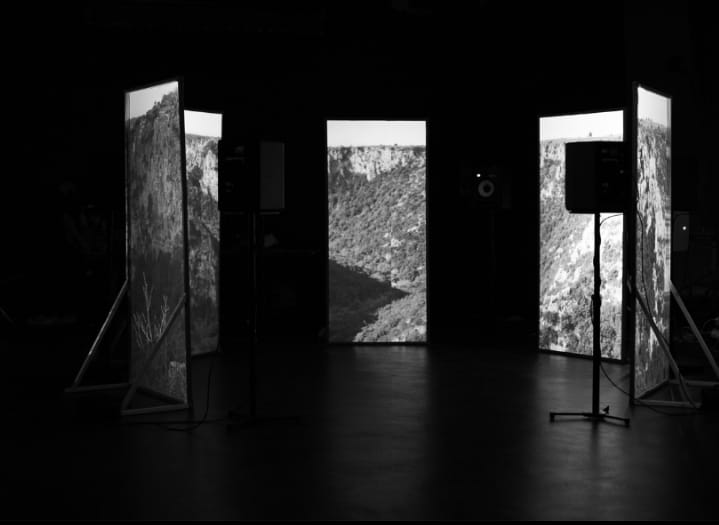 MUSCANTARA — installation view